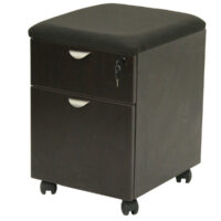 Mobile Box-File with Cushioned Top  $409 ♦