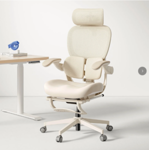 Hinomi Q2 Ergonomic Office Chair with Free Footrest
